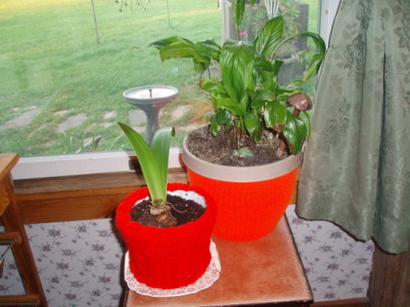 Red crochet hats decorating potted plants.