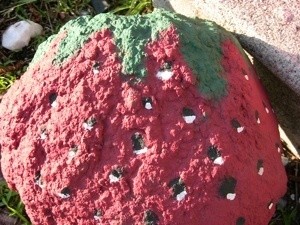 Painted Strawberry Rock