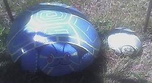 Rock painted to look like a turtle.
