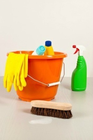 Photo of cleaning supplies.