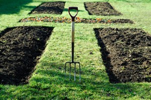 Sunken Garden Beds