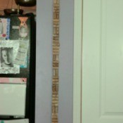 Cork Bulletin Board