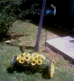 Push Mower as Lawn Decoration