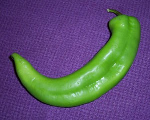 A green Anaheim chile