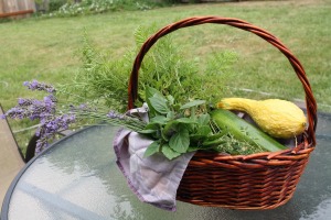 A basket of late summer vegetables and herbs from the garden.