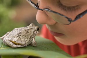 Boy Looking at a Toad