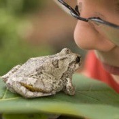 Boy Looking at a Toad