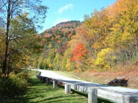 Scenic fall color photo.