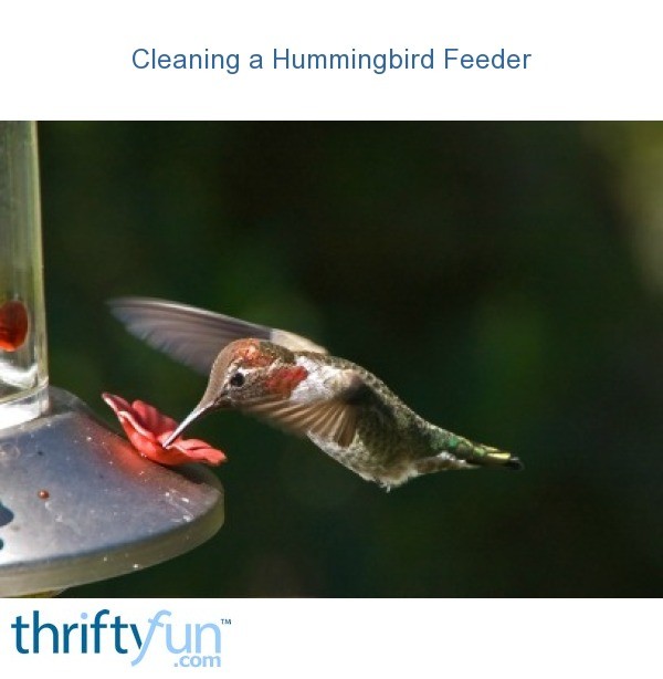 cleaning a hummingbird feeder thriftyfun cleaning a hummingbird feeder thriftyfun