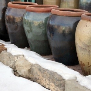 planters in winter