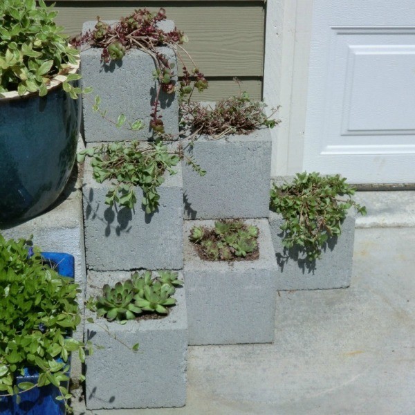 Making a Cinder Block Planter | ThriftyFun