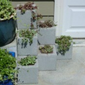 Cinder Block Planter