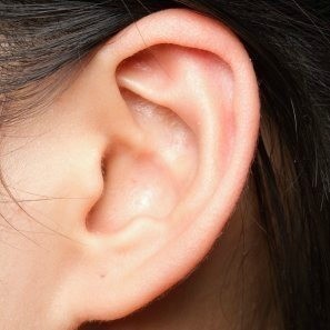Closeup of woman's ear.