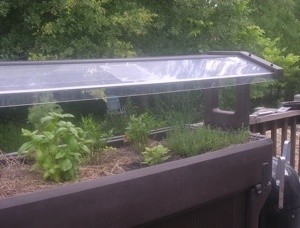Salad Bar Made into Garden Bed