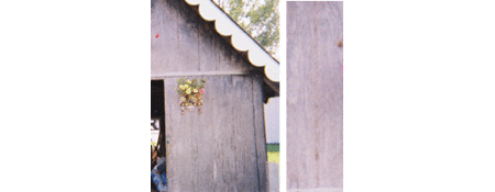 Tin can wall decorations on a shed.