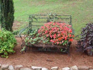 Flower "Bed" That's Different