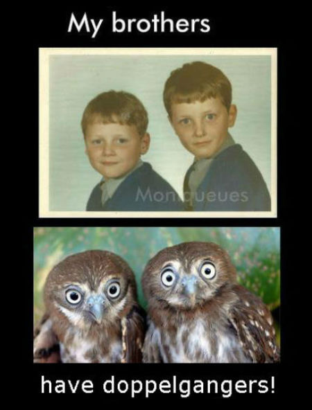 Photo of two young boys with a photo of two owls below.
