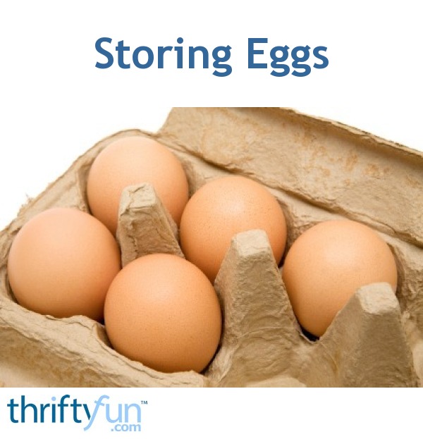 Storing Eggs ThriftyFun