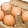 Storing Eggs