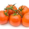 Storing Tomatoes