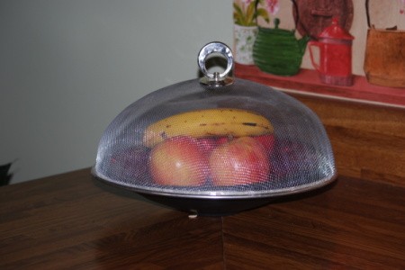 Mesh screen dome cover over fruit.