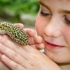 Boy Holding Lizard