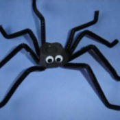 Section of egg carton and pipe cleaner spider.