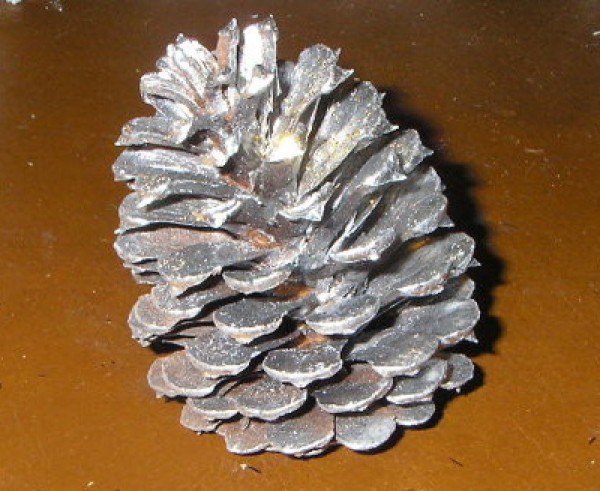 A pinecone painted silver