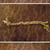 Knotted rag dog chew toy.
