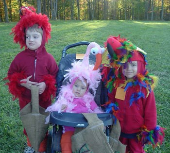 Bird Costumes 