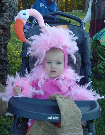 Flamingo costume.