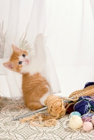 Keeping Yarn Away from Cats