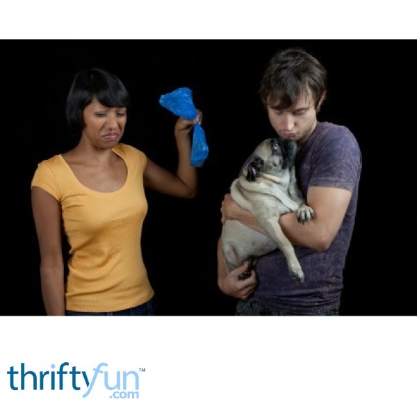 Disposing of Dog Waste ThriftyFun