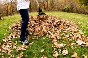 Raking Up Fall Leaves