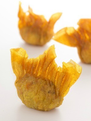 Wonton Appetizer Recipes