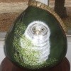Owl Painted Gourd