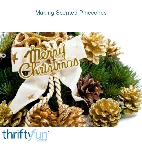 Making Scented Pine Cones? ThriftyFun