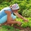 Three important tips for new organic gardeners