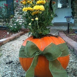 Making Pumpkin Planters