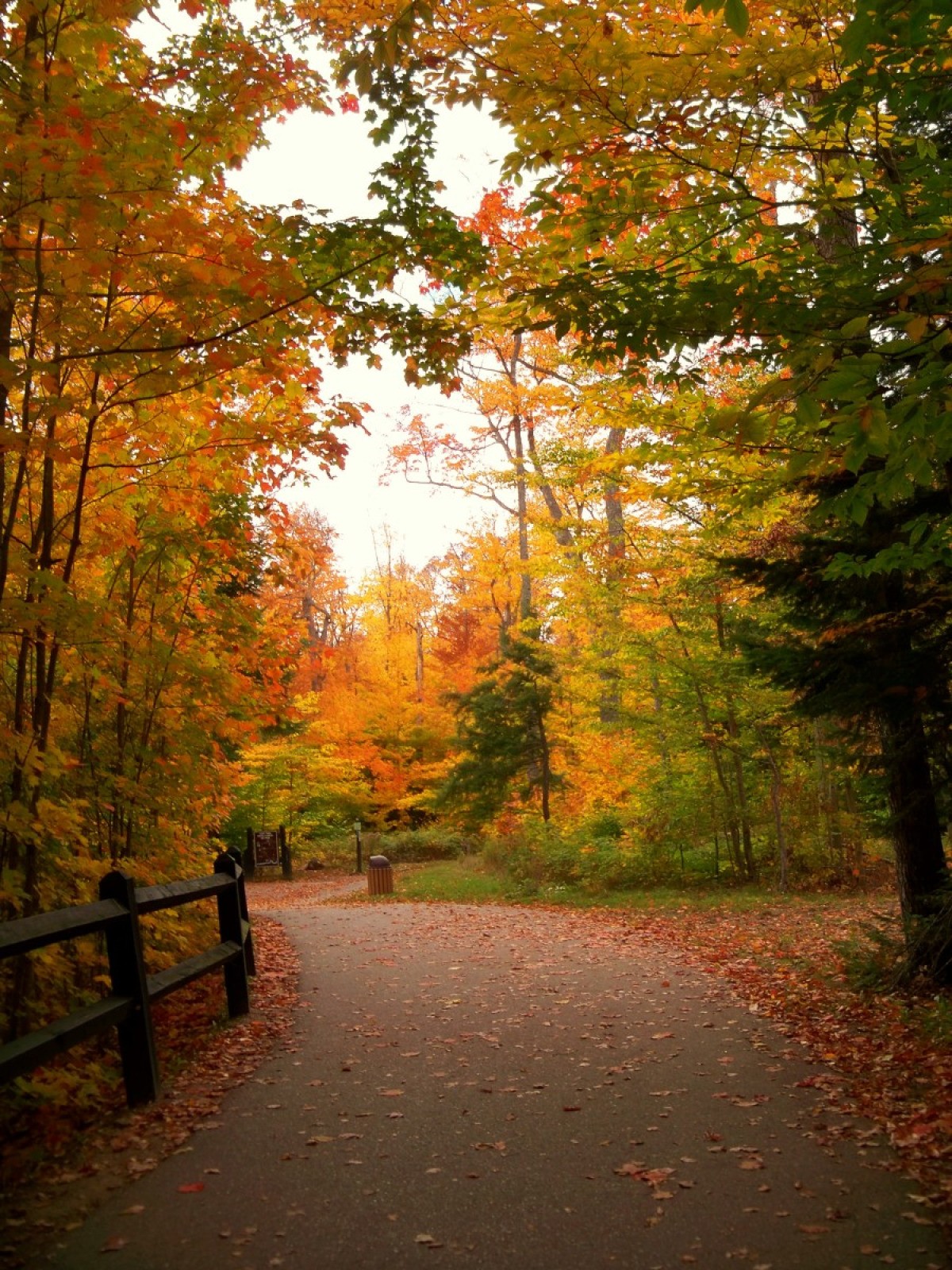 Tahquamenon Falls (Upper Peninsula, Michigan) | ThriftyFun