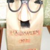 Brown paper bag kit with fun glasses.