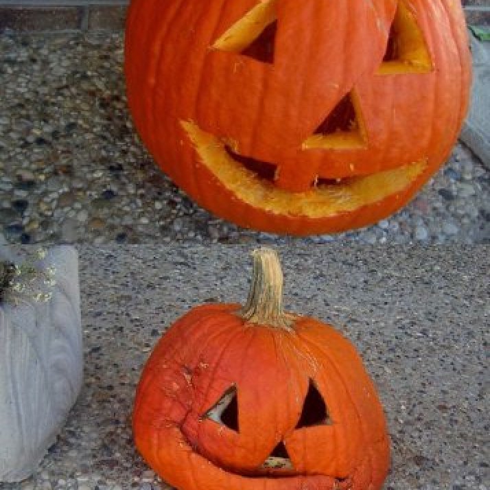 Bad Pumpkin | My Frugal Halloween