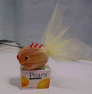 Pears soap fish.