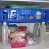 Frugal Freezer Shelf
