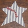 Fabric adhered to magnetic sheet and cut into shape of a star.