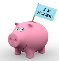 Hungry Piggy Bank
