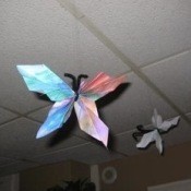 Fan-Fold Butterflies