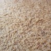 Removing Odors from Carpets