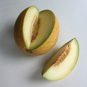 Galia Melons