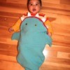Shark Costume for a Baby